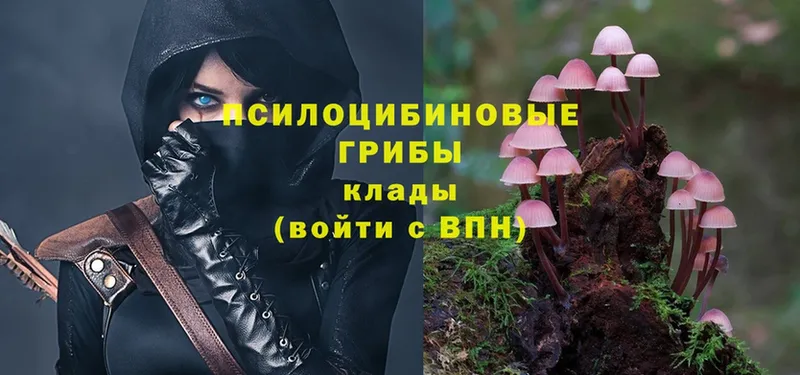 мега маркетплейс  Ершов  Галлюциногенные грибы MAGIC MUSHROOMS 